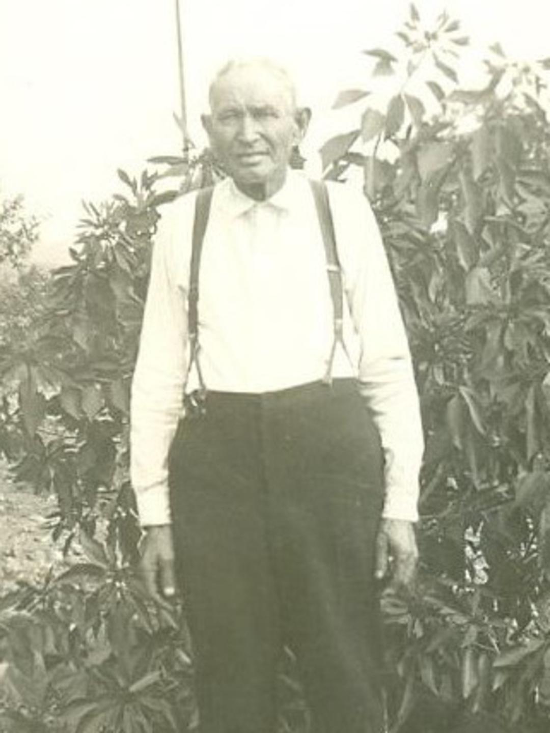 Joseph Olsen (1860 - 1935) Profile